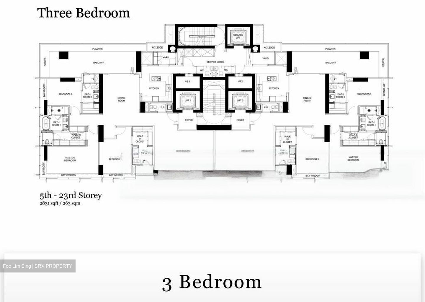 The Ritz-Carlton  (D9), Condominium #459938111